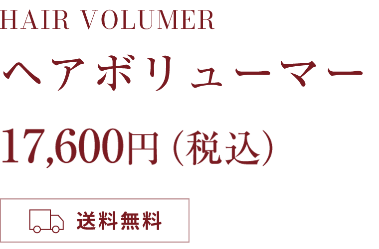 HAIR VOLUMER ヘアボリューマー17,600円（税込） 送料無料