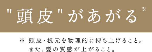 頭皮をあげる