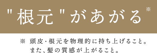 根本をあげる