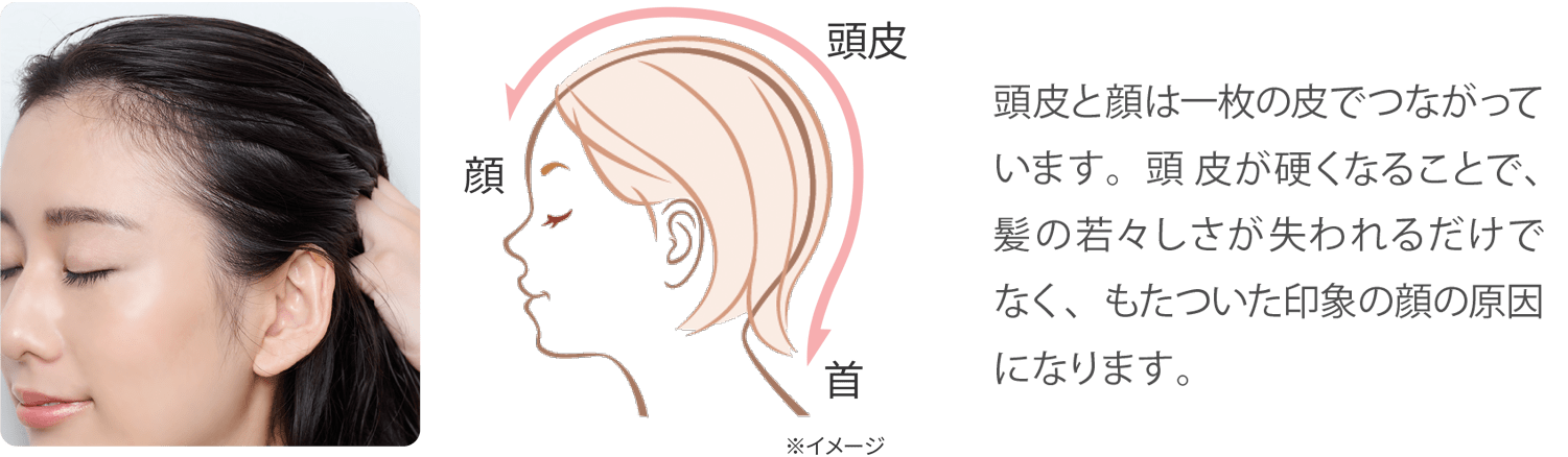 頭皮とお顔は一枚の皮でつながっています。頭皮が硬くなることで、髪の若々しさが失われるだけでなく、もたついた印象のお顔の原因になります。