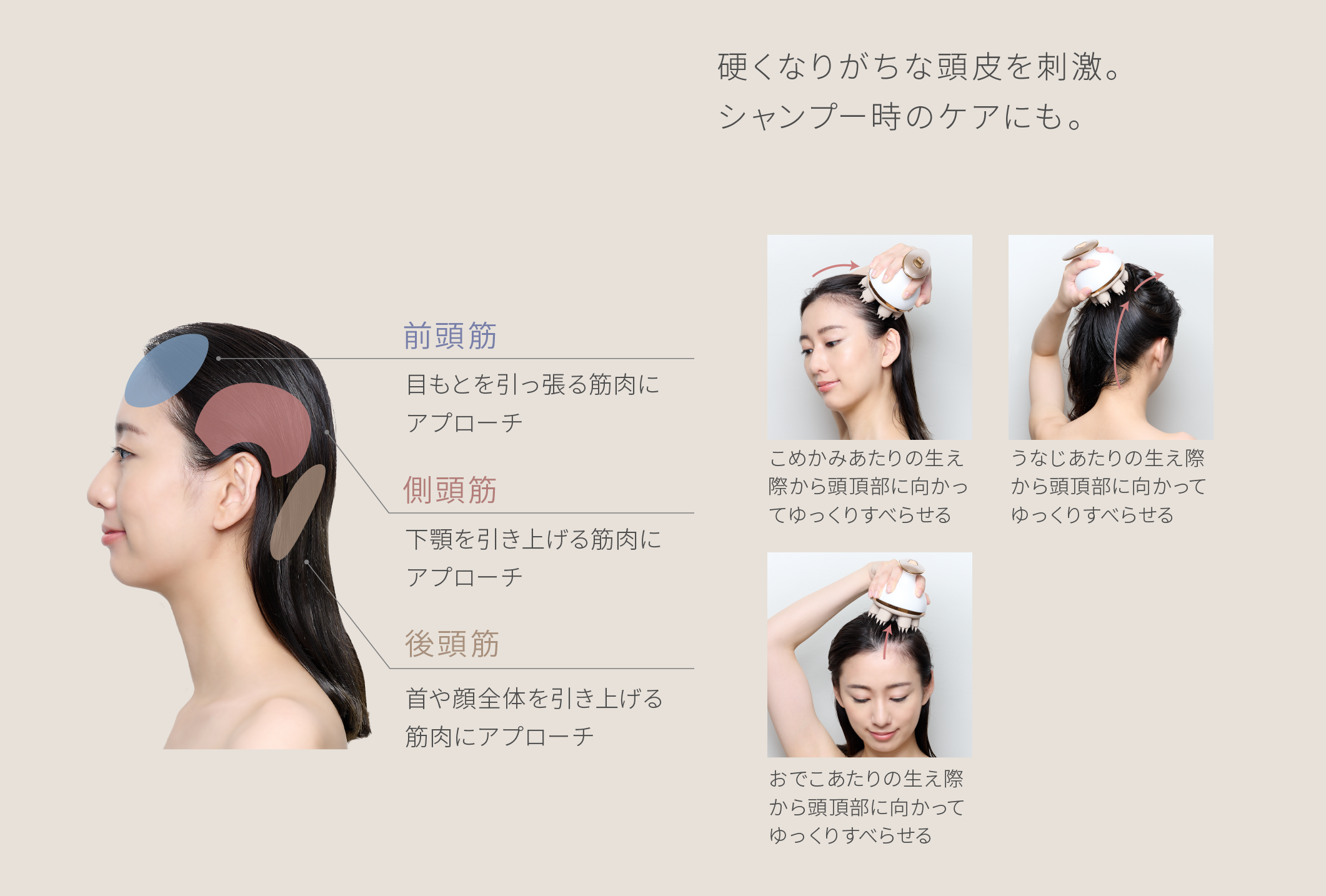 FOR HEAD
