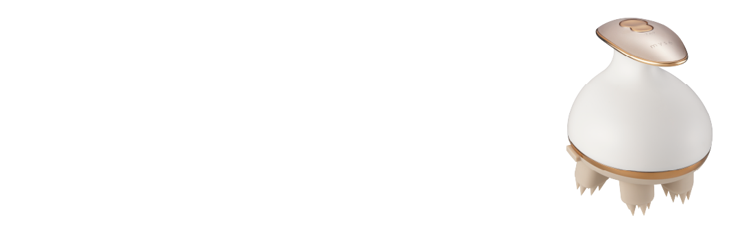 User’s Voice
