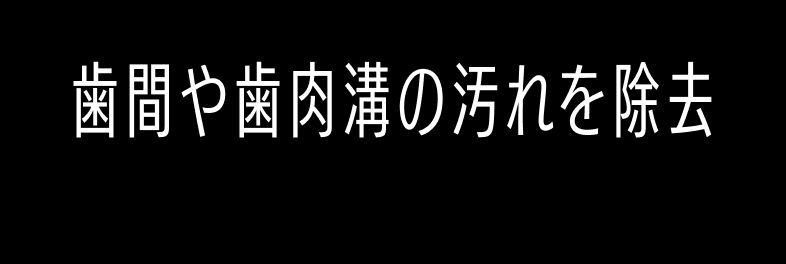 歯間や歯肉溝の汚れを除去