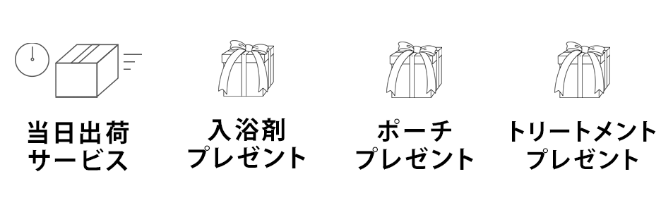 当日宅配サービス　送料無料　入浴剤プレゼント　ポーチプレゼント　トリートメントプレゼント