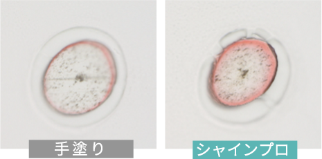 カラートリートメントにより浸透試験　比較画像