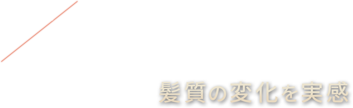 POINT 02