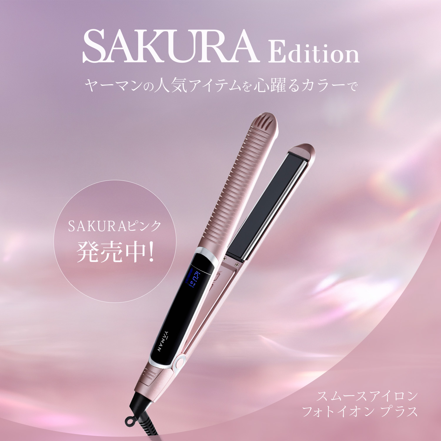 限定キャンペーン